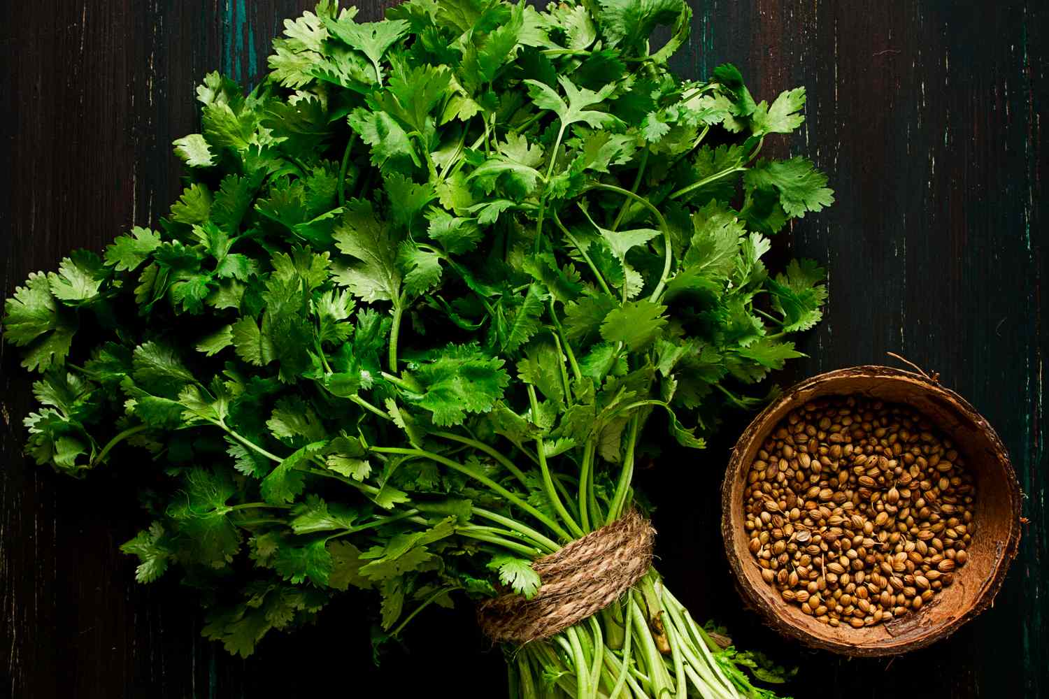 Coriander Leaves - Image 2