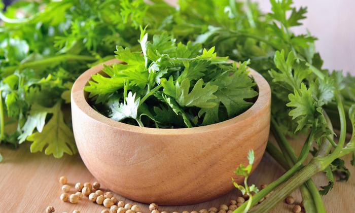 Coriander Leaves - Image 3